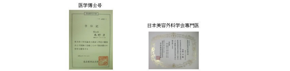 所属等