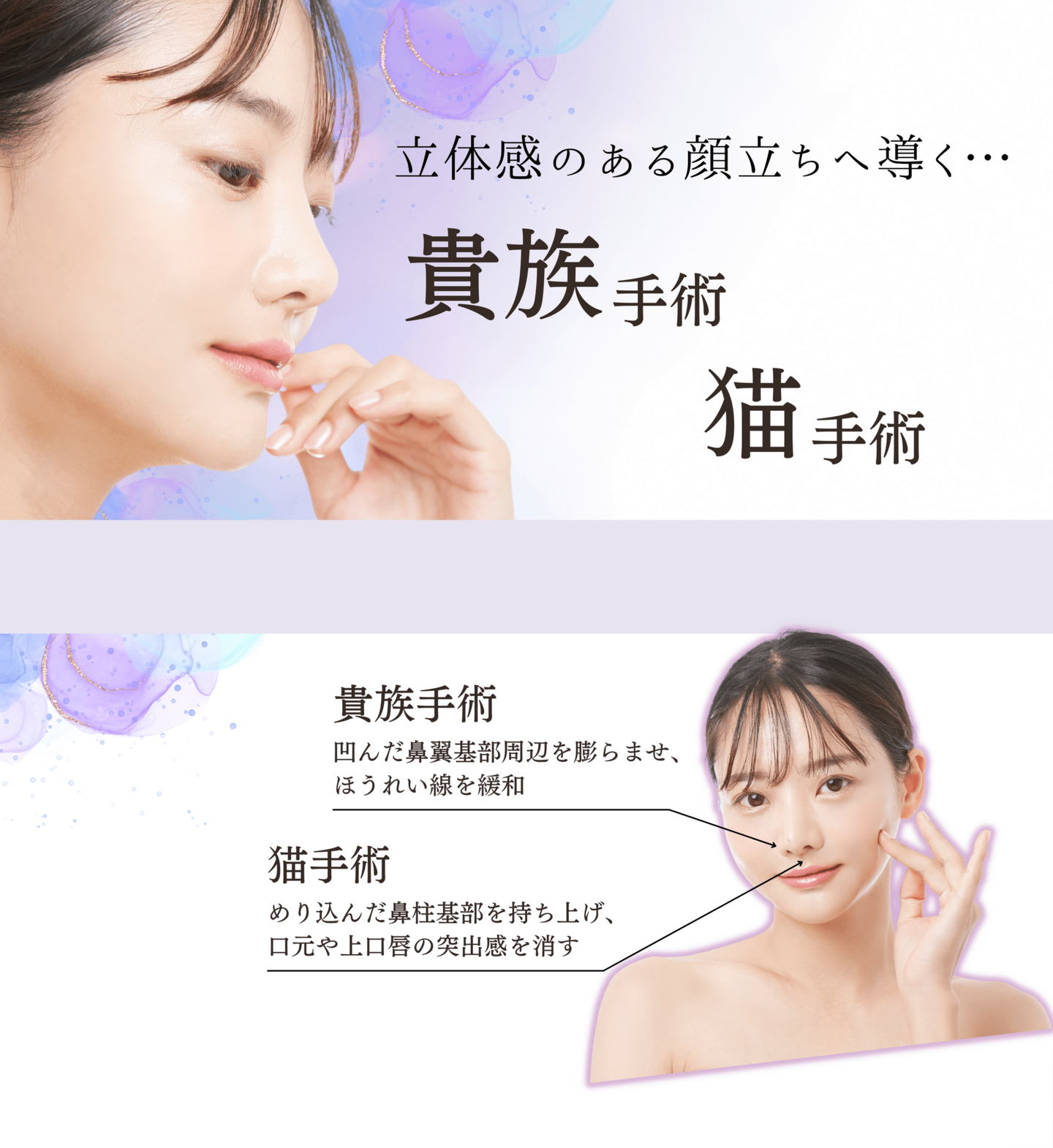 貴族手術、猫手術